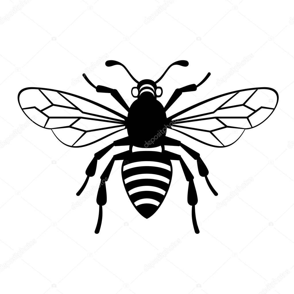 ᐈ Bee Graphics Stock Illustrations Royalty Free Bee Pictures