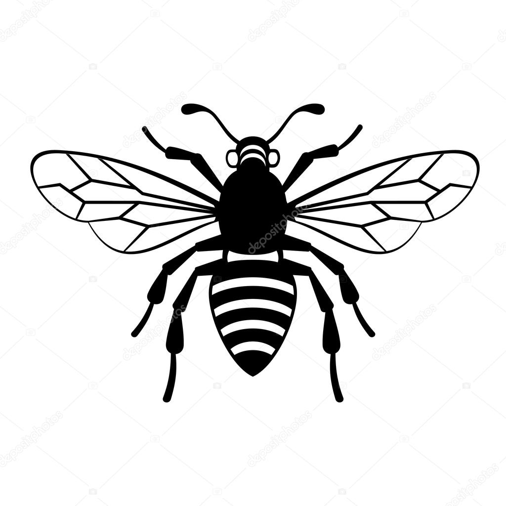 Bee Icon Vector