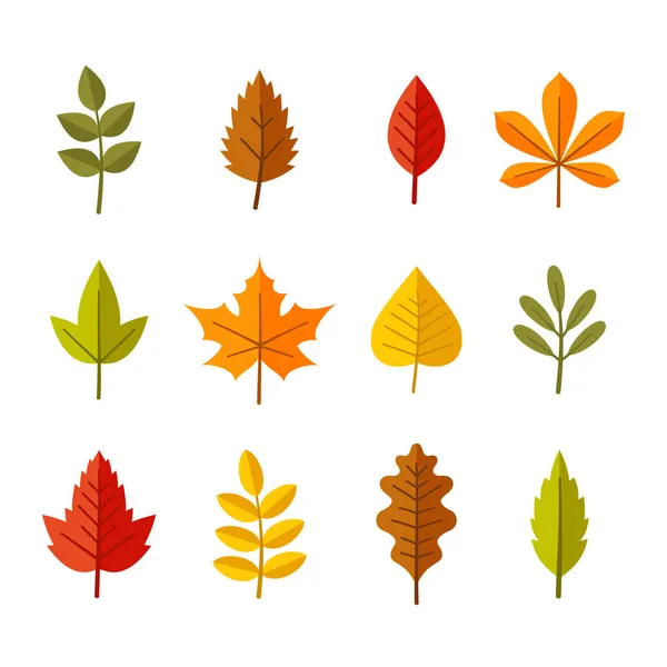 白色背景上的秋天红叶和黄叶.B.病媒 — 图库矢量图片