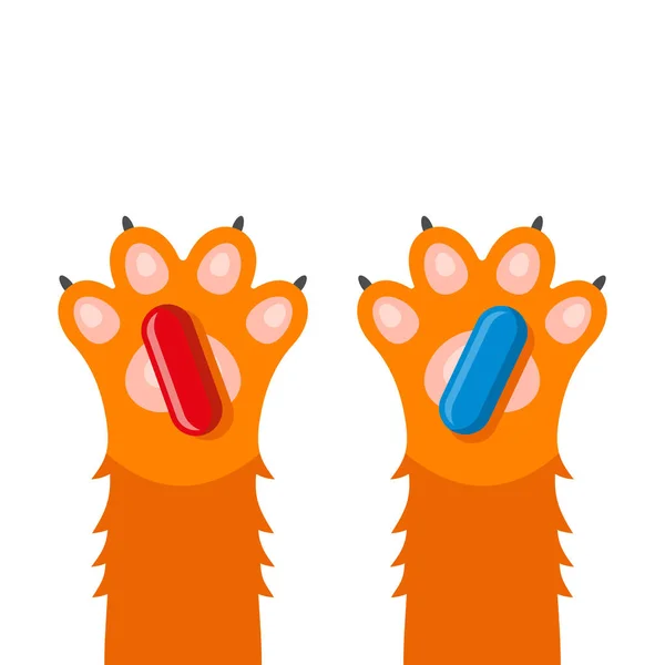 Lindas patas de gato con píldoras rojas y azules. Vector — Archivo Imágenes Vectoriales