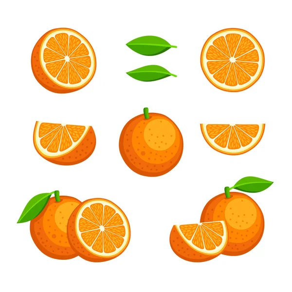 Orange Fruit Icons Set on White Background. Vector — Stock vektor