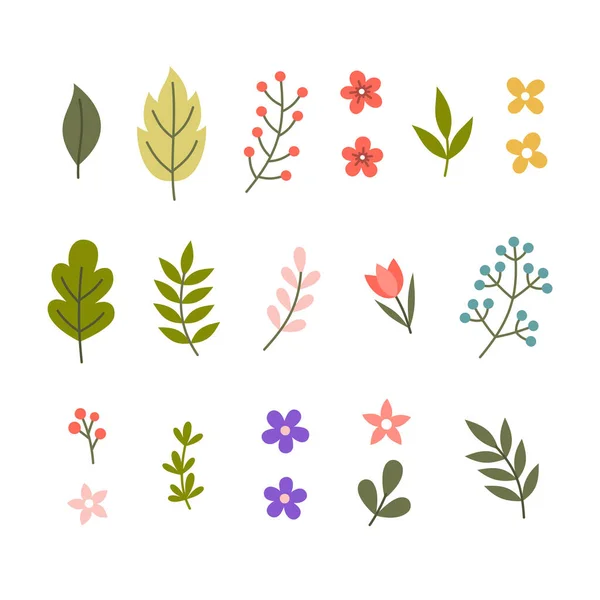 Set de flores y hojas sobre fondo blanco. Vector — Archivo Imágenes Vectoriales