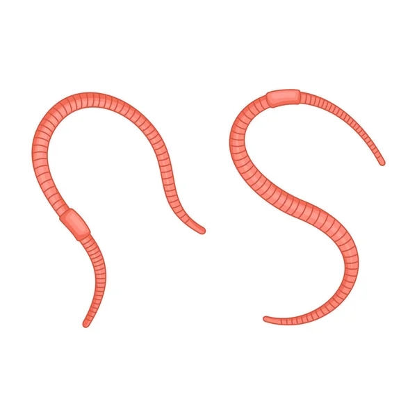 Cute Earthworm Set on White Background. Vector — Stock Vector