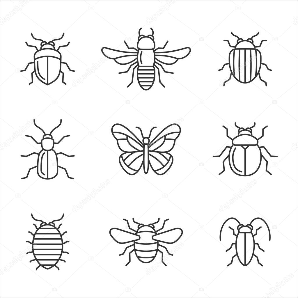 Insect Icons Set. Butterfly, Bug and Bee. Vector illustration