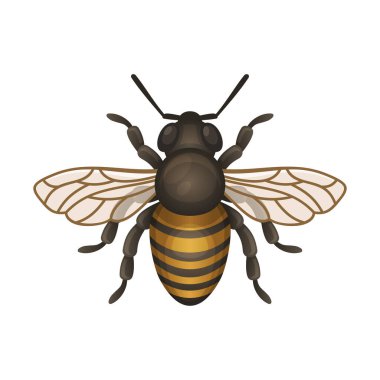 Arı simgesi. Beyaz arka planda böcek logosu. Vektör illüstrasyonu