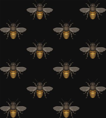 Bee Seamless Pattern on Black Background. Vector illustration