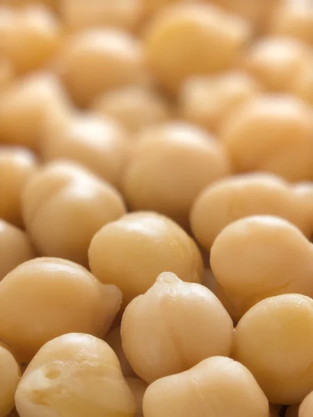 Chickpeas — Stock fotografie