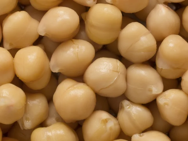 Chickpeas — Stock Photo, Image