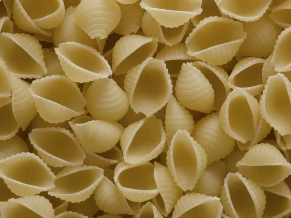 Conchiglie těstoviny — Stock fotografie