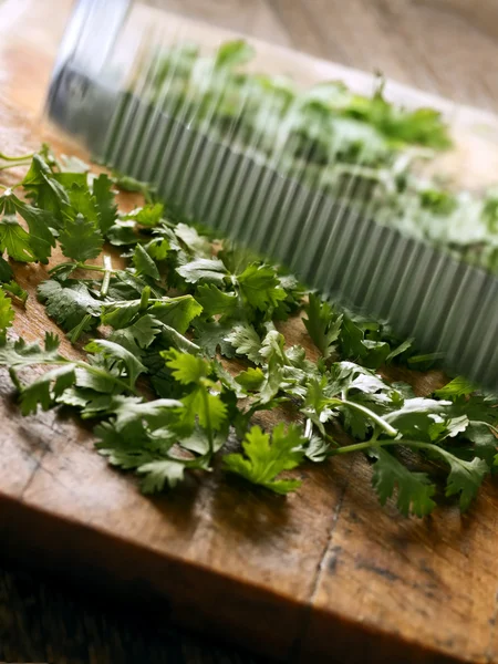 Corte de hojas de cilantro —  Fotos de Stock