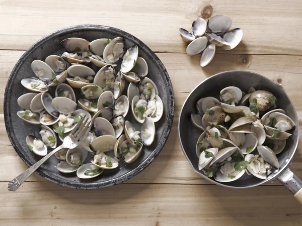 Vongole bianche in salsa di vino bianco — Foto Stock