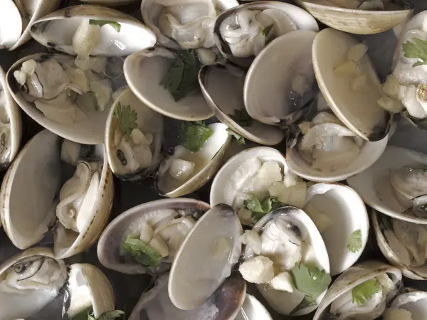 Amêijoas brancas em molho de vinho branco — Fotografia de Stock