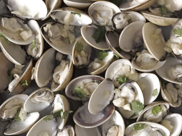 Vit musslor i vitvinssås — Stockfoto
