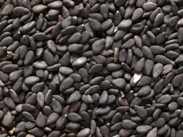 Siyah susam tohumları