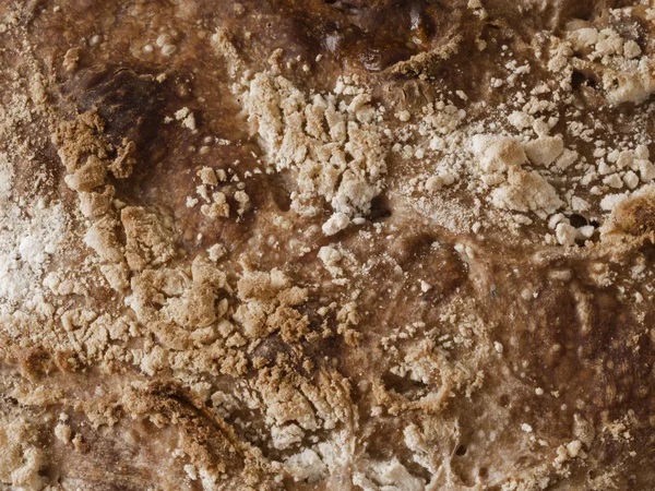 Brown chlebu — Stock fotografie