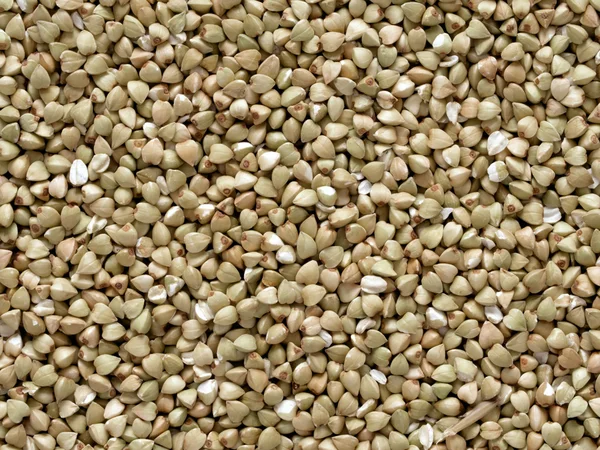Buckwheat grains — Stock Photo, Image