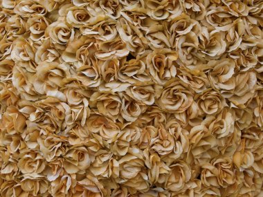 turuncu gül arka plan