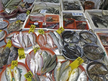 mongkok ıslak pazar balıklar