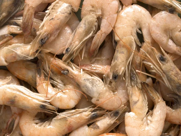 Cooked shrimps Stock Photo