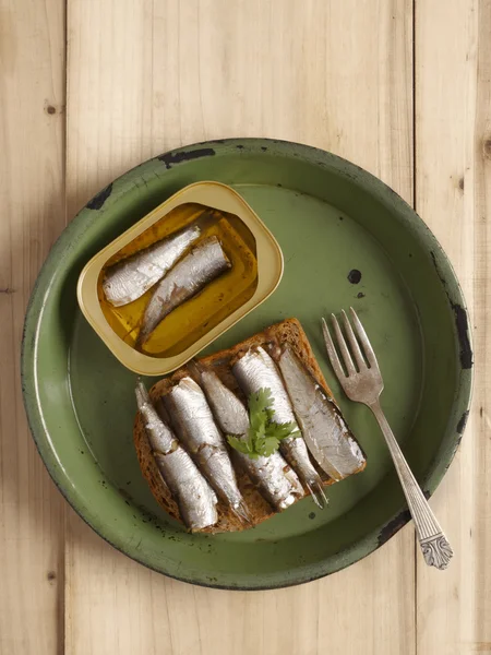 Sardinensandwich — Stockfoto