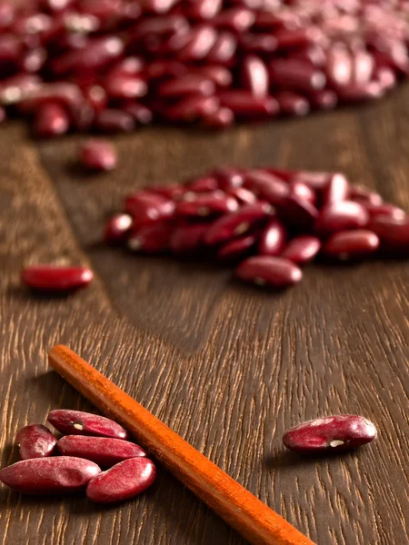 Bean counter — Stock Photo, Image