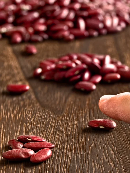 Bean counter — Stock Photo, Image