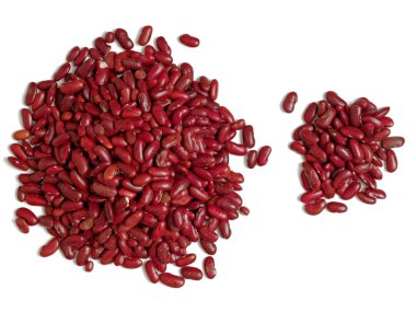 fasulye counter muhasebe bankacılık kavramı