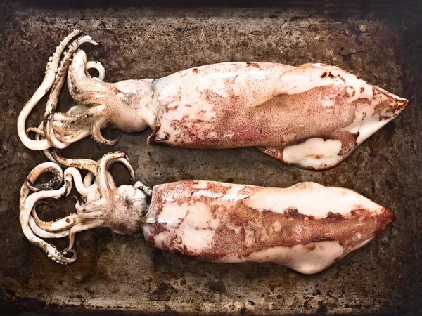 Calamar entero cocido —  Fotos de Stock