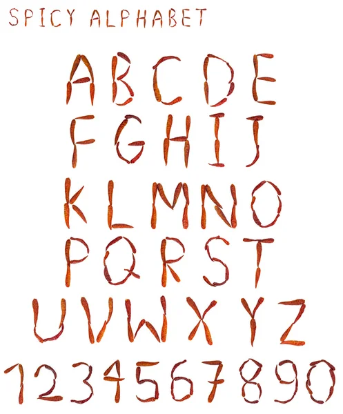Würziges Alphabet mit Buchstaben geschrieben von getrocknetem thailändischem würzigem Chilipfeffer — Stockfoto