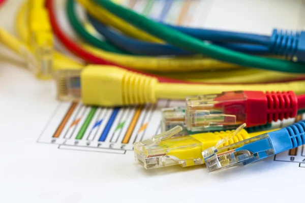 Uppsägning av färgade rj45 kablar för datornät — Stockfoto