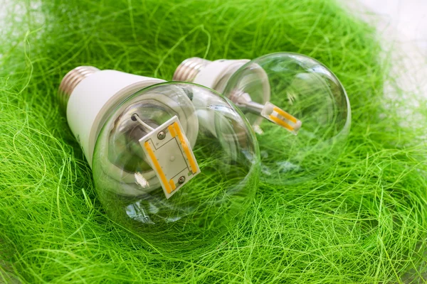 Zwei LED-Lampen e27 mit verschiedenen Chips in großem transparentem Glas — Stockfoto