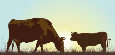 Grazing cattle in the morning clipart
