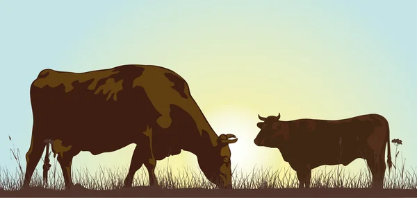 Weidende Rinder am Morgen — Stockvektor