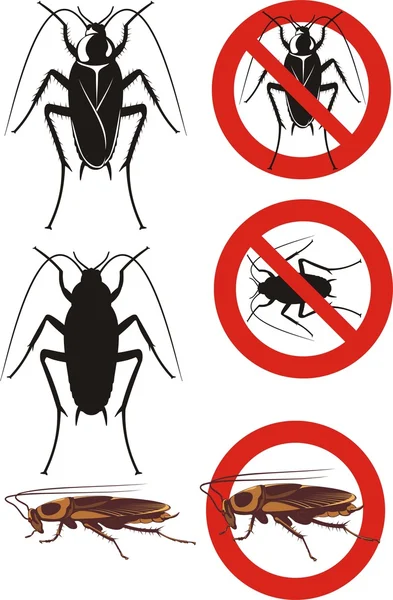 Cucaracha - señales de advertencia — Vector de stock