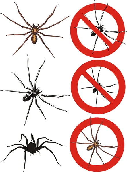 Spider - warning signs — Stock Vector