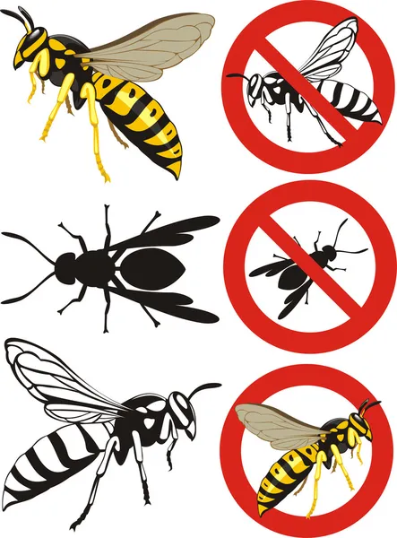 Wasp - warning signs — Stock Vector