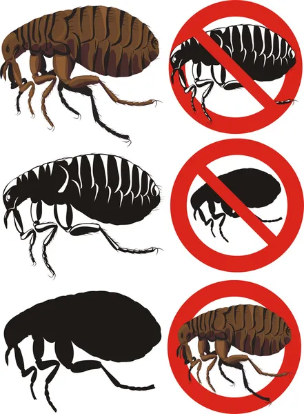 跳蚤-警告标志 — 图库矢量图片