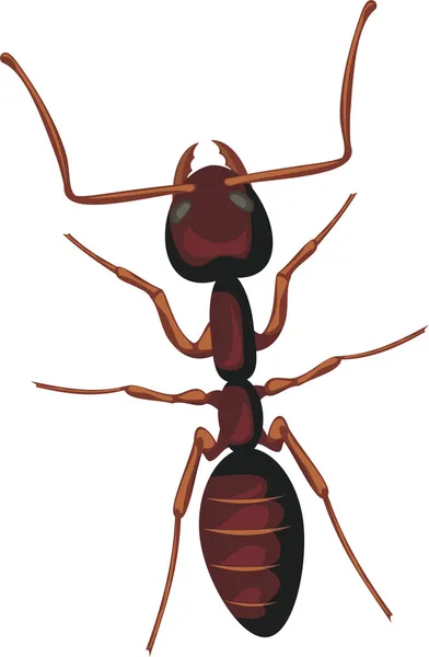 Μυρμήγκι - εισβολή είδη — Διανυσματικό Αρχείο