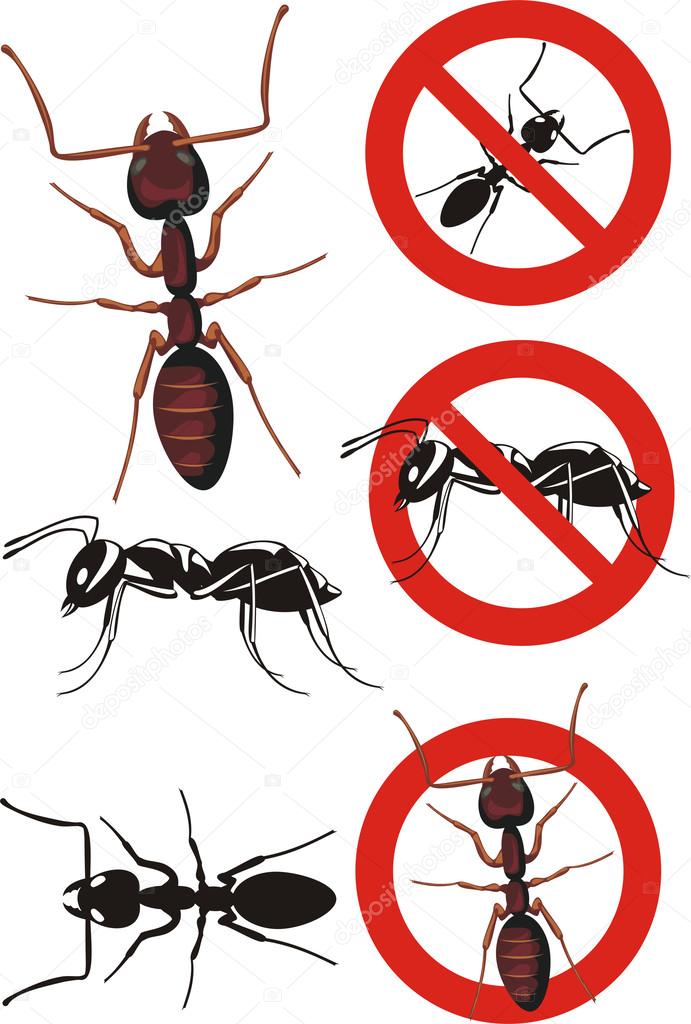ant - warning signs