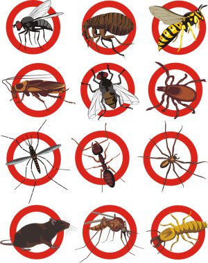 Pests icon - color clipart