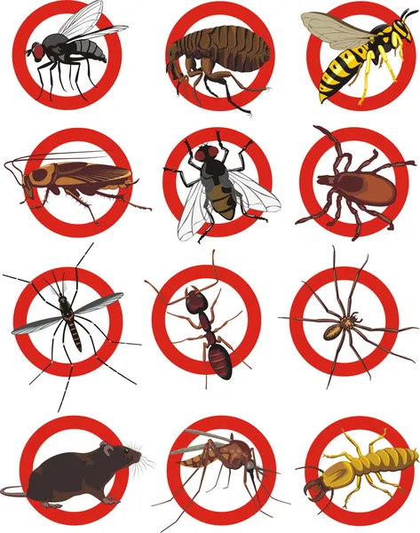 Pests icon - color — Stock Vector