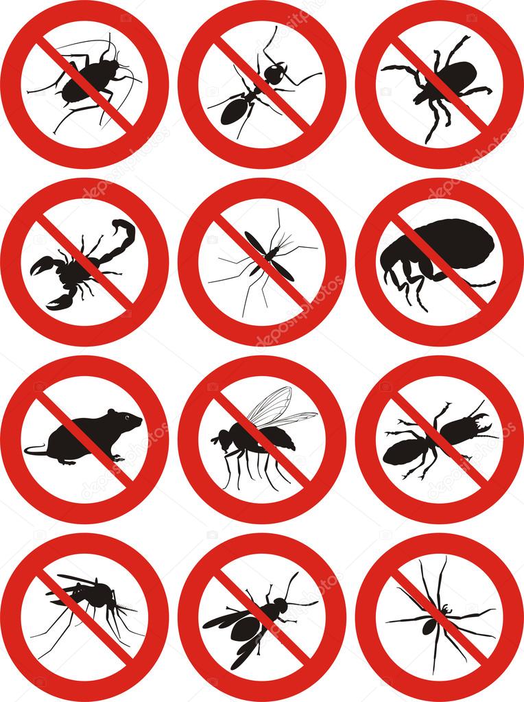 Pests icon