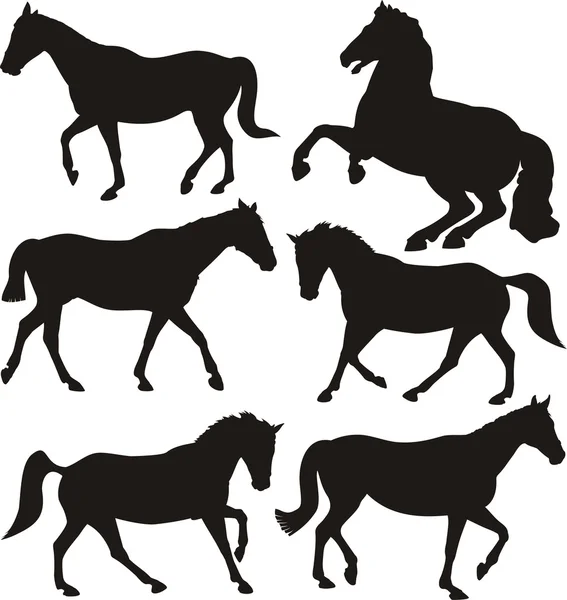 Horses - silhouettes — Stock Vector