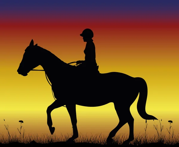 草の上の馬場馬術 — ストックベクタ