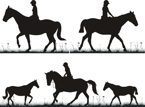 Dressage on the grass — Stock Vector