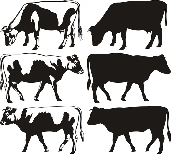 Siluetas de vaca y toro — Vector de stock