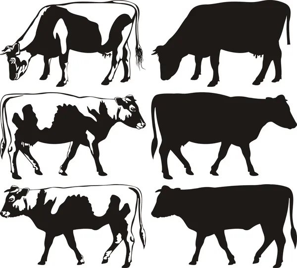 Silhouetten von Kuh und Stier — Stockvektor