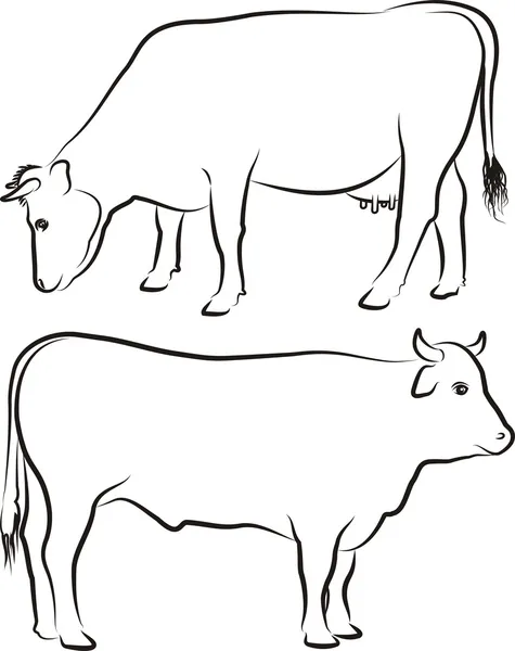 Cow and bull - outlines — Stock Vector