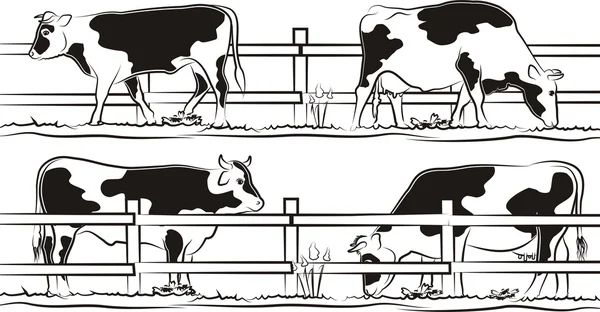 Vaca y toro en el pasto — Vector de stock