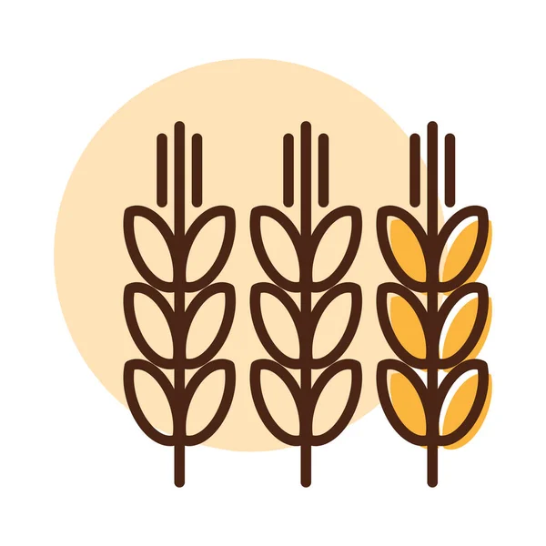 小穗和麦粒图标 农业标志 图形符号为您的网站设计 应用程序 用户界面 病媒说明 Eps10 — 图库矢量图片